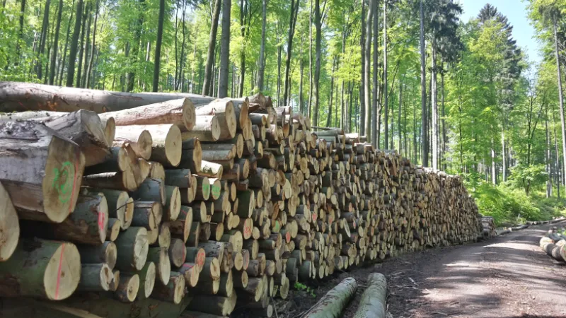 dein-kaminholz.de